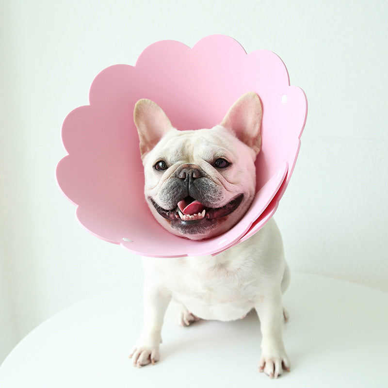 Keep Your Pet Safe & Adorable with Sunflower Collar