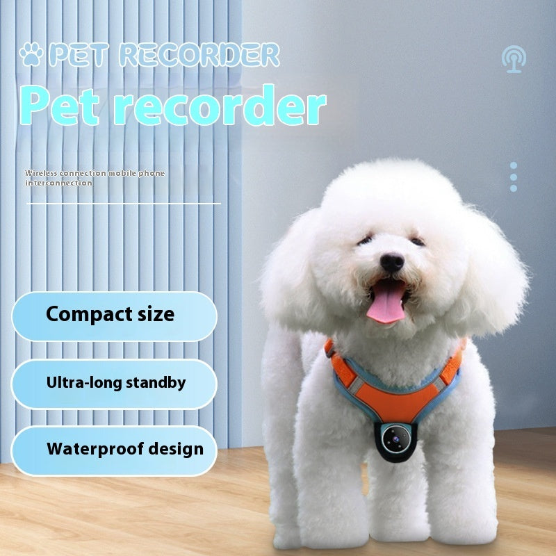 See the World Through Your Pet’s Eyes – Capture Every Moment