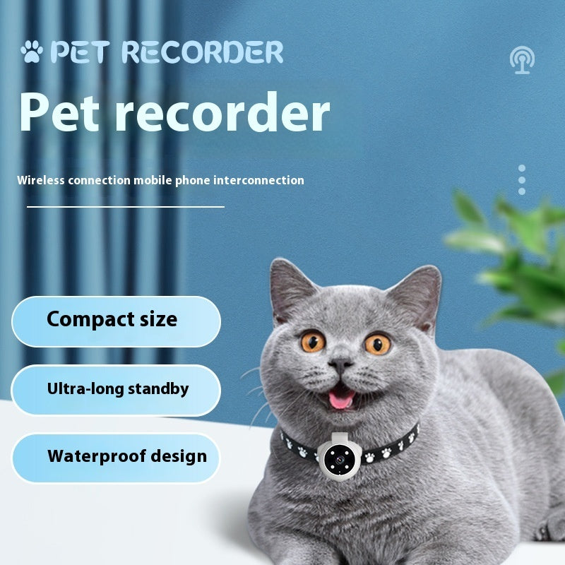 See the World Through Your Pet’s Eyes – Capture Every Moment