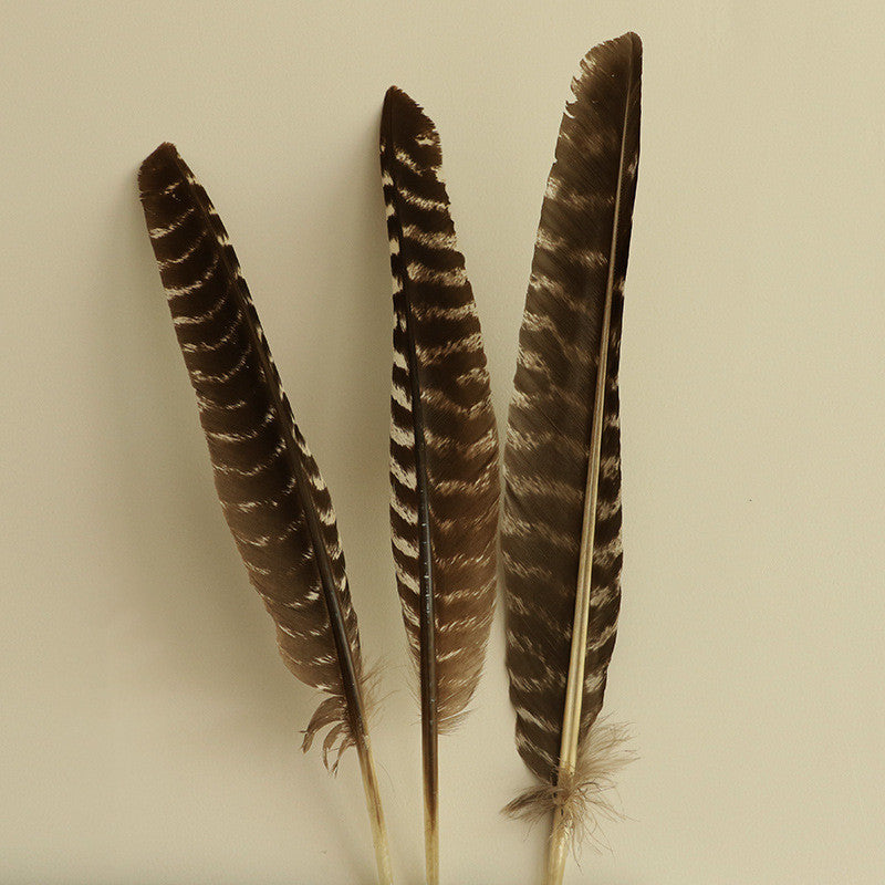 Cleanse Your Space: Pure Leaf White Sage Bundle - Pawsitive Vibes