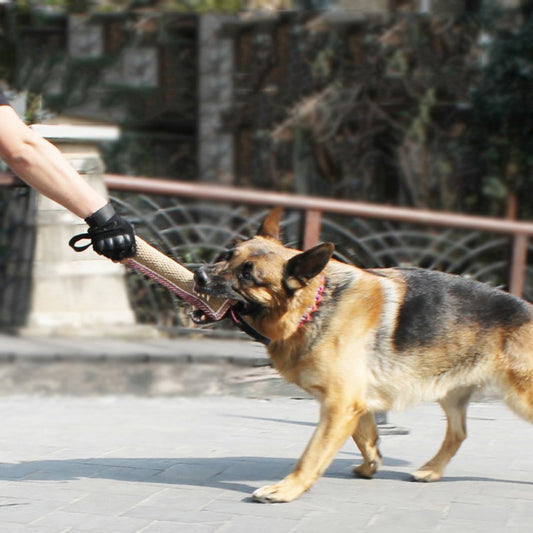 Train Smarter, Bond Stronger: Tough Dog Training Bite Toy