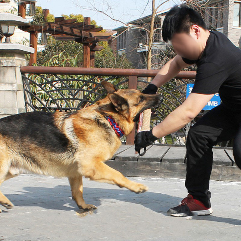 Train Smarter, Bond Stronger: Tough Dog Training Bite Toy