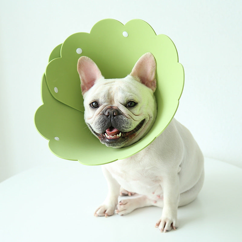 Keep Your Pet Safe & Adorable with Sunflower Collar