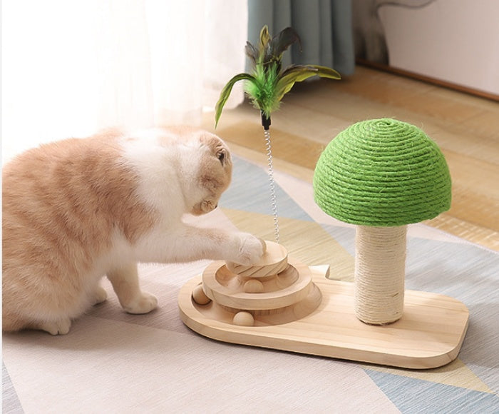 Keep Your Cat Happy with This Fun Scratch & Play Post!