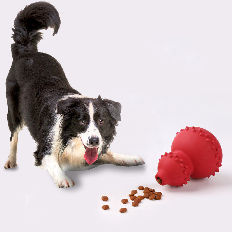 Durable Natural Rubber Toy – Keeps Your Pet Happy & Healthy! - Pawsitive Vibes