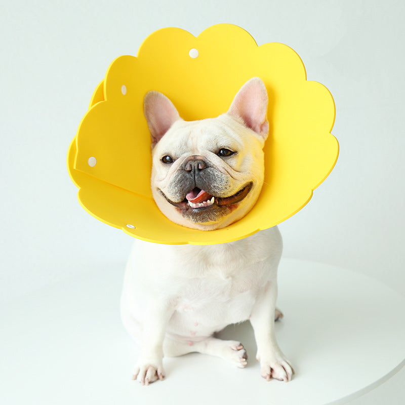 Keep Your Pet Safe & Adorable with Sunflower Collar