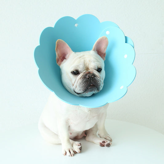 Keep Your Pet Safe & Adorable with Sunflower Collar