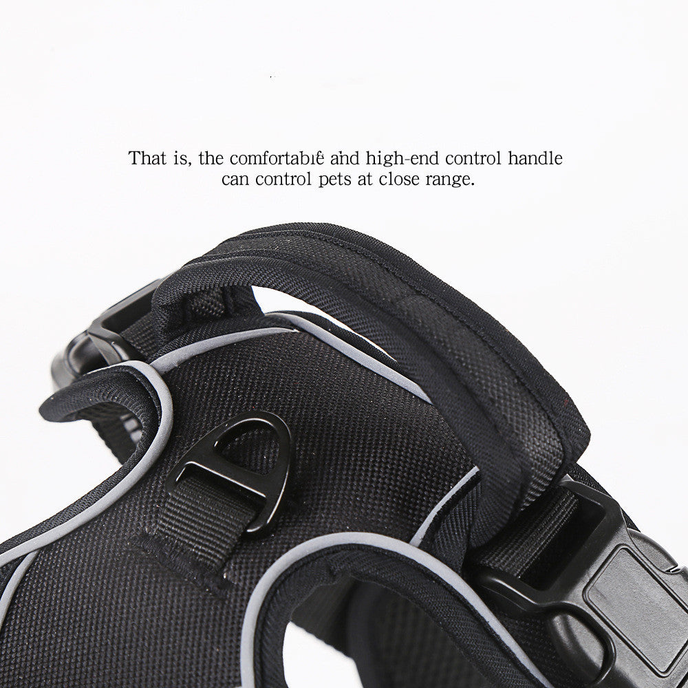 Comfortable No-Pull Dog Harness – Safe, Breathable & Reflective! - Pawsitive Vibes
