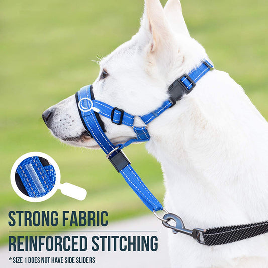 Gentle Control Dog Muzzle – Keep Walks Safe & Calm