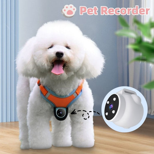 See the World Through Your Pet’s Eyes – Capture Every Moment
