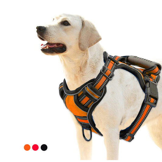 Comfortable No-Pull Dog Harness – Safe, Breathable & Reflective! - Pawsitive Vibes